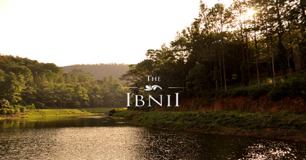 The ibnii
