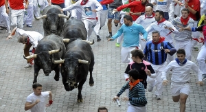 Participants run in front of Miura bulls during the last bull-run of the San Fermin Festival in Pamplona, northern Spain on July 14, 2014. The festival is a symbol of Spanish culture that attracts thousands of tourists to watch the bull runs despite heavy condemnation from animal rights groups. AFP PHOTO/ RAFA RIVAS