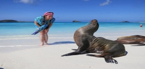 galapagos-islands-espanola-island-gardner-bay-sea-lion